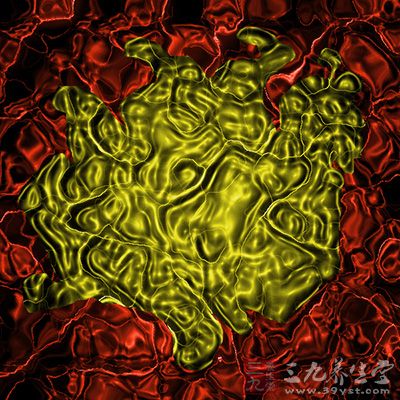 联合国设立多方信托基金应对寨卡病毒