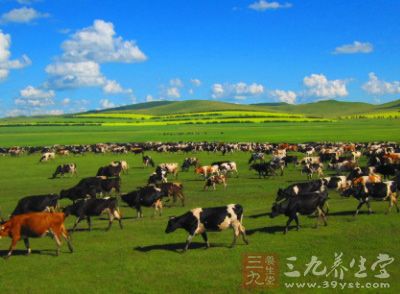 河南省进口澳大利亚肉牛口岸正式启用