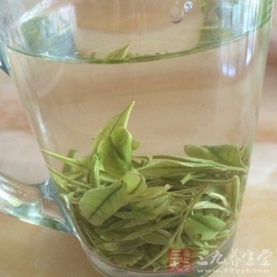 茶汤味似绿茶但无清香