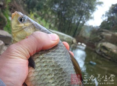 夏季钓鱼 夏季为什么选择在早晚垂钓