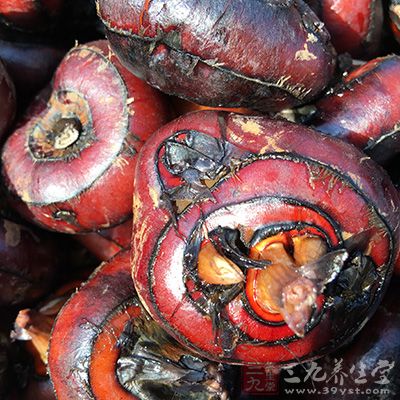 对于宫血患者采用荸荠和荠菜进行药膳食疗 对于宫血患者采用荸荠和荠菜进行药膳食疗