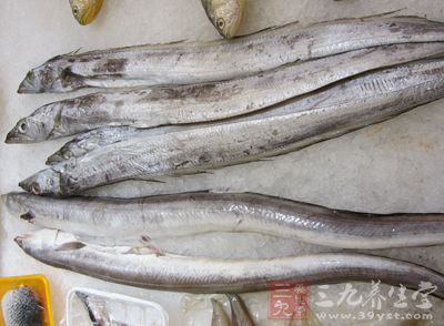 即用一种叫“王金黄”的液体,兑水对鲛鲛鱼进行浸泡 即用一种叫“王金黄”的液体,兑水对鲛鲛鱼进行浸泡