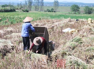 各地的氣候、農(nóng)業(yè)生產(chǎn)、主要農(nóng)作物品種及其生長狀況有明顯的不同