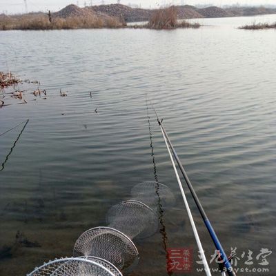 夏季钓鱼，早晚温差都比较大