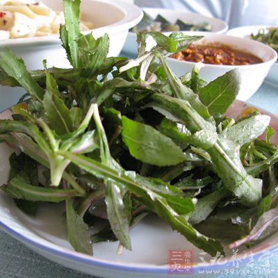 苦菜遍布全國(guó)，醫(yī)學(xué)上叫它“敗醬草”，寧夏人叫它“苦苦菜”