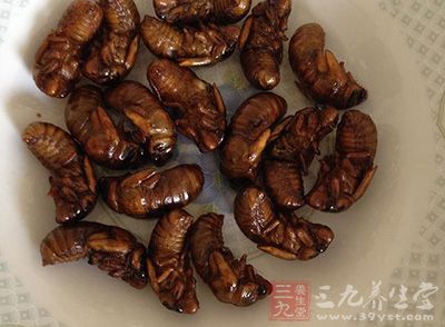 杭州女子吃十几只知了过敏 引发急性肠胃炎