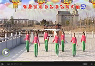 茉莉广场舞羊羊得意正反面分解动作教学