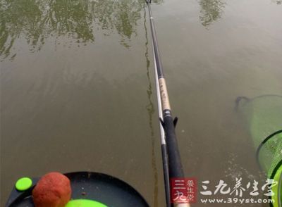 钓鲤鱼技巧 夏季钓鲤鱼需要了解的四个技巧