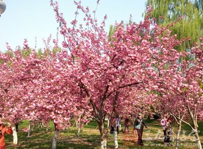 小满节气的后期往往是这些地区防汛的紧张阶段