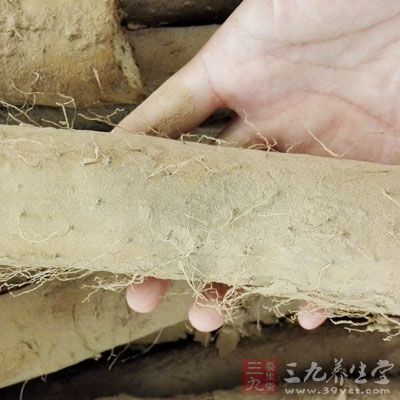 山药味甘，为中医“上品”之药