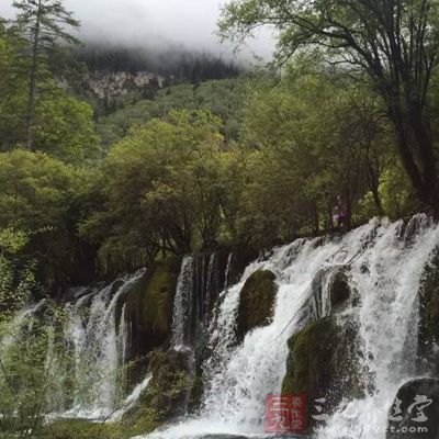 这里山峦重叠，林木苍翠，花草繁茂