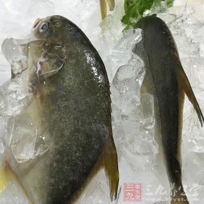 好不要吃魚(yú)蝦等海鮮