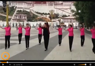 茉莉广场舞红尘情歌动作分解附教程