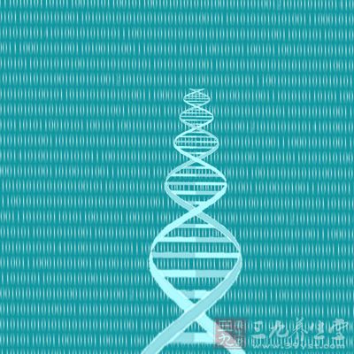 检测出临床样品中的HPVDNA