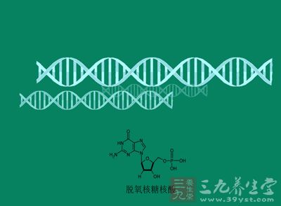 HPV感染有关的包括：生殖器癌、肛门、前列腺癌、膀胱癌