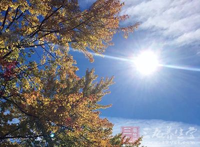 她全年不间断地疯狂使用日光浴床 她全年不间断地疯狂使用日光浴床