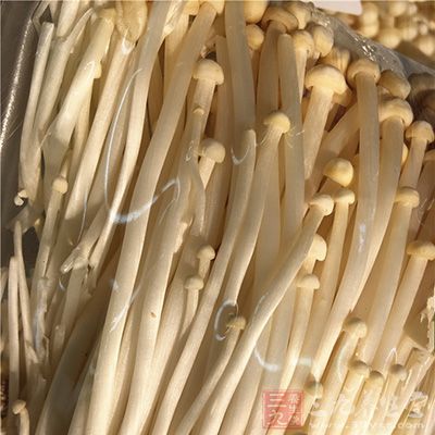 金针菇菌丝体、籽实体中的有效成分对人体也有抗菌消炎的作用