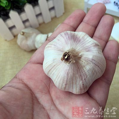 很多人用吃大蒜的方法来预防肝炎 很多人用吃大蒜的方法来预防肝炎