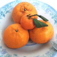 橘子的营养价值  多吃橘子对身体有好处