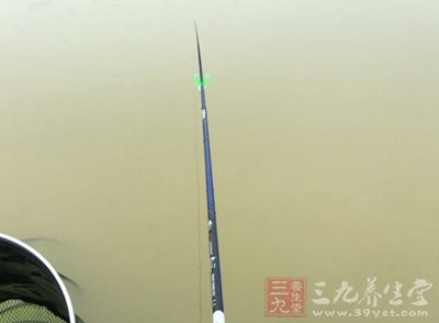 夏天我们需要选择多云、阴天，气温不能太高或阵雨过后刮北风的好日子出钓