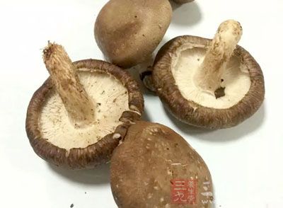 香菇歸肝經(jīng)和胃經(jīng)，對(duì)于人體出現(xiàn)的氣血虧虛、不耐勞累等癥狀都有非常好的調(diào)節(jié)作用