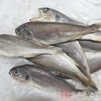 这种鱼的鱼籽千万别吃 含毒素(3)