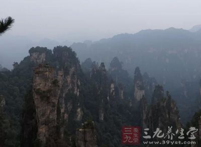 去台湾大家一定不会错过阿里山