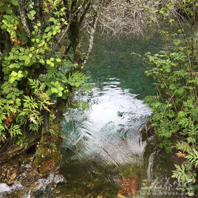 晶莹澄澈的泉水汩汩而出，久旱不涸