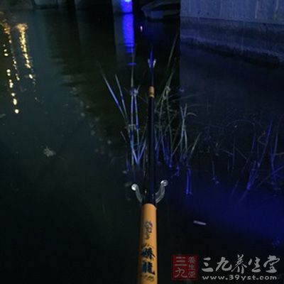 在夏天的夜晚垂钓时，我们调钓好钝点