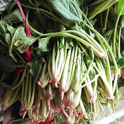 菠菜根可以跟花生木耳粉丝一起凉拌着吃 菠菜根可以跟花生木耳粉丝一起凉拌着吃