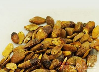 黄皮核的药用价值-三九养生堂养生百科