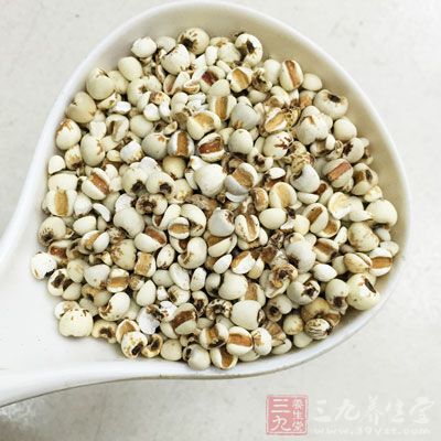 脾虚可以选择燥皮化湿和健脾食物，如薏米、茯苓、芡实