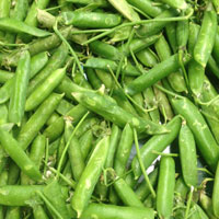 豌豆的营养价值 豌豆中含丰富的维生素矿物质