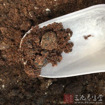 红糖具有益气养血，健脾暖胃，驱风散寒，活血化淤之效