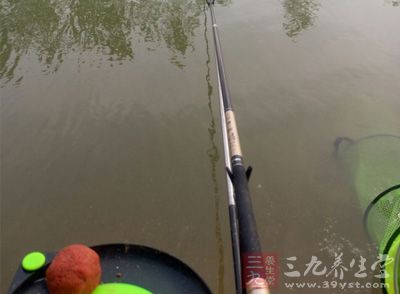 夏季钓鱼 夏季如何在黑坑钓鲤鱼