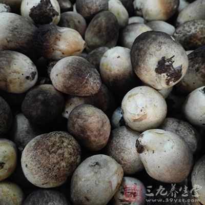 草菇去根部后洗净，切成薄片