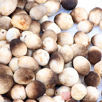 草菇味道鲜美,口感柔嫩 草菇味道鲜美,口感柔嫩