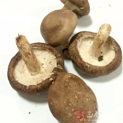 香菇能明显降低血清胆固醇