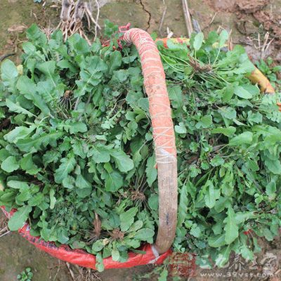 食用后不要长时间暴露在阳光下 食用后不要长时间暴露在阳光下