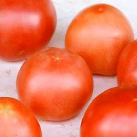 吃西红柿的好处 吃西红柿能防癌抗衰老