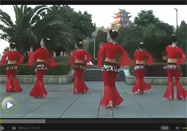 茉莉广场舞歌在飞动作分解教学视频