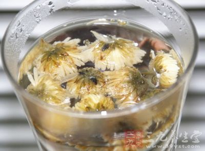 菊花茶可以成为睡前配制茶饮品的首选 菊花茶可以成为睡前配制茶饮品的首选