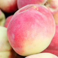 桃子的营养价值 减肥的人可以适当多吃桃子