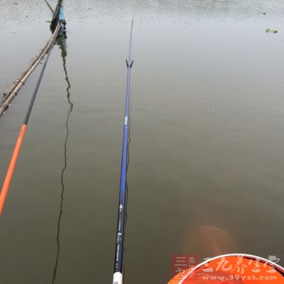 “初夏”期天凉时就靠草、有了太阳就寻荫