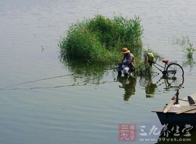 夏季钓鱼 夏季早晚垂钓需掌握这五点