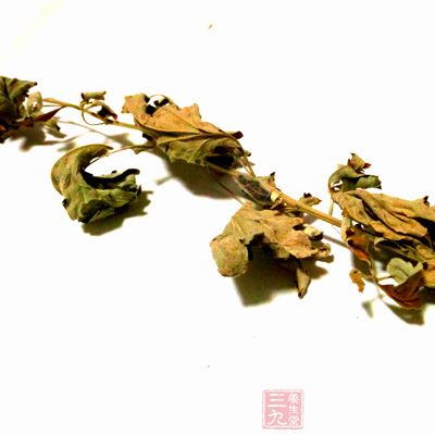 艾草有一种特殊的味道，不仅驱虫的效果好，还能净化室内空气