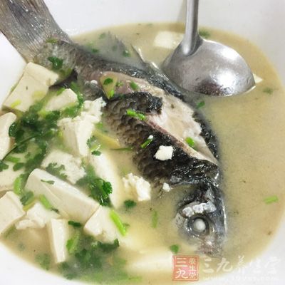 鯽魚(yú)與嫩豆腐都含有豐富的蛋白質(zhì)