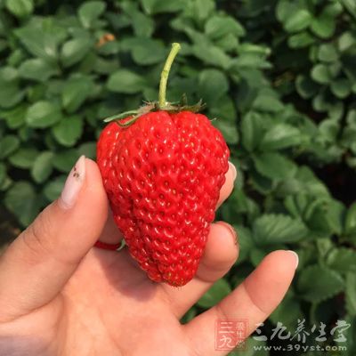 澈底清洗水果、蔬菜 澈底清洗水果、蔬菜