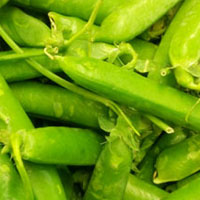 豌豆的营养价值 多吃豌豆能增加赖氨酸