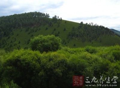 綠茶里面有一種叫做多酚的物質(zhì)